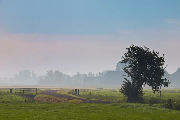 Agricultural landscape in morning mist — Stock Photo, Image