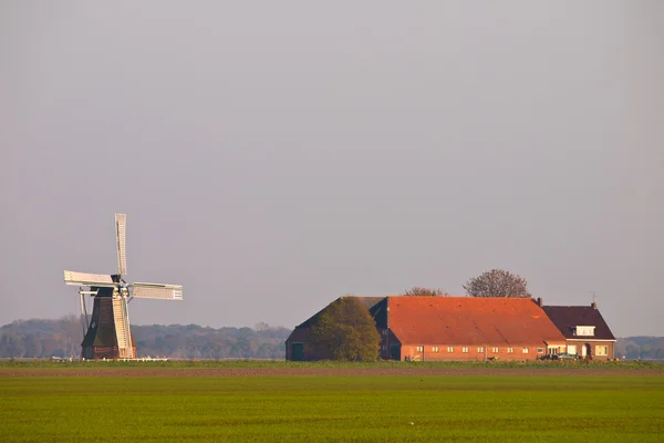 Dutch agricultural landscape with farm and windmill — Stock Photo, Image
