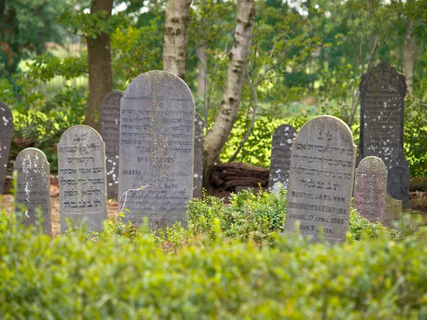 Lapidi su un cimitero ebraico — Foto Stock