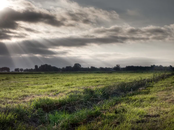 Loopgraaf in agricultrural grasveld — Stockfoto