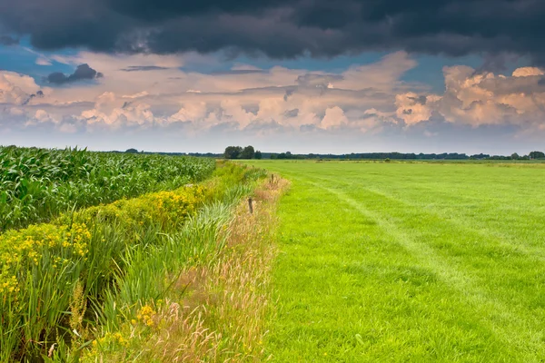 Cielo dramático sobre el paisaje agrícola holandés — Foto de Stock