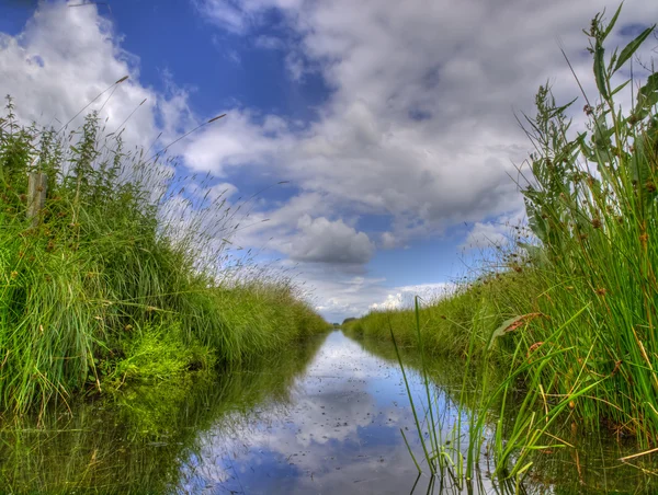 Freshwater ditch in dutch conservation area — Stock Photo, Image