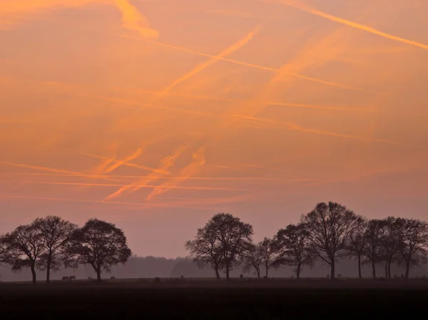 Contrails under solnedgången — Stockfoto