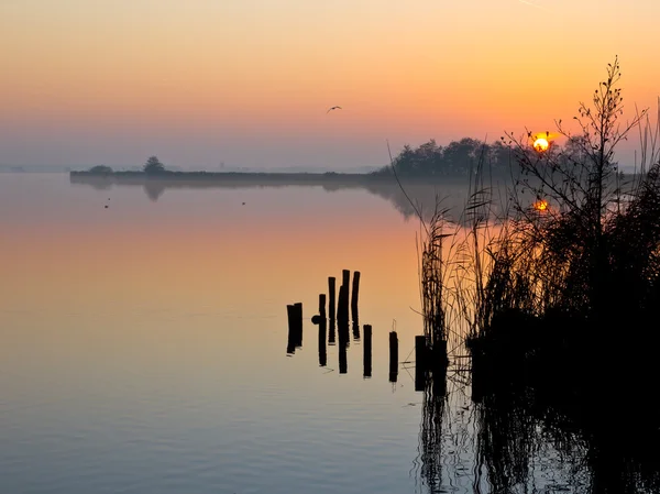 Reflejando la puesta de sol sobre la orilla del lago — Foto de Stock
