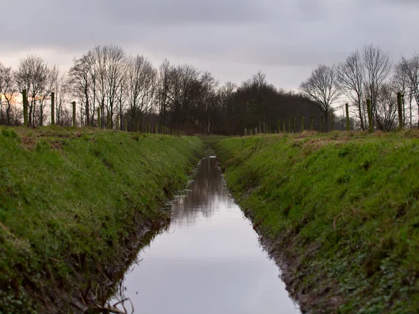 冬にオランダの溝 — ストック写真