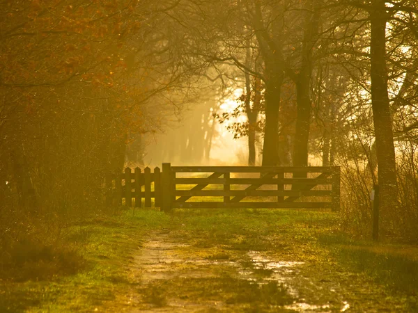 Back lit entrance gate — Stock Photo, Image