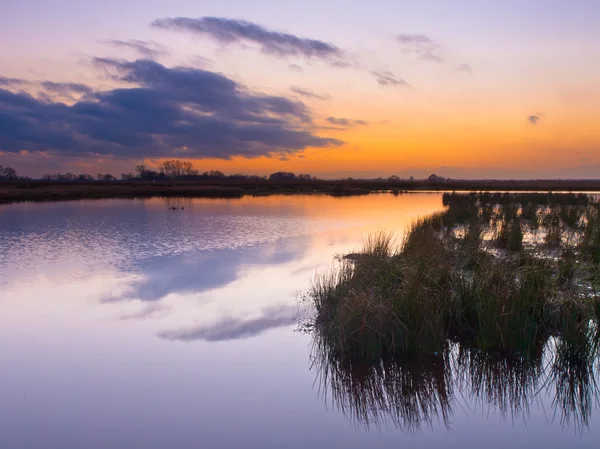 Zone humide pendant le coucher du soleil — Photo