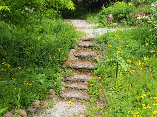 Лестница в экологическом саду — стоковое фото