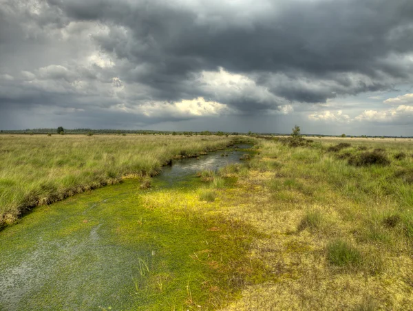 Landschap — Stockfoto