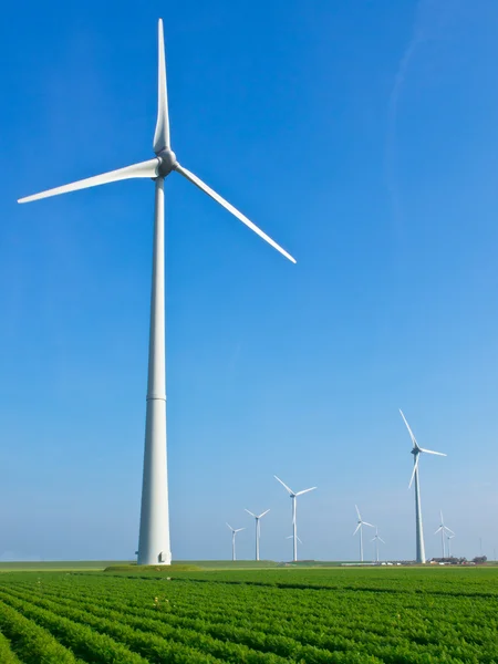 Wind turbine in dutch agricultural landscape Royalty Free Stock Photos