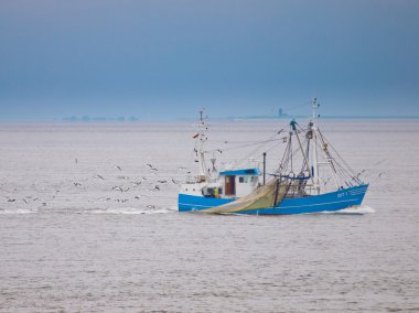 balıkçı teknesi waddensea üzerinde