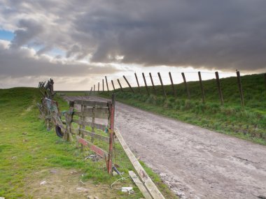 kırsal yolu üzerinden bir Hollandalı lezbiyen