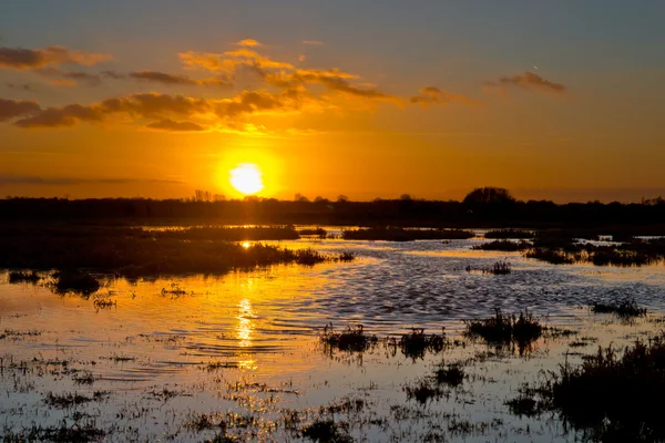 Sunset over wet agricultural nature reserve — Stock Photo, Image