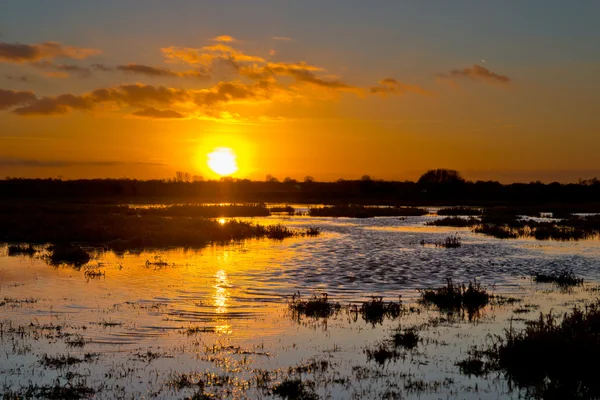 Puesta de sol sobre la reserva natural agrícola húmeda — Foto de Stock