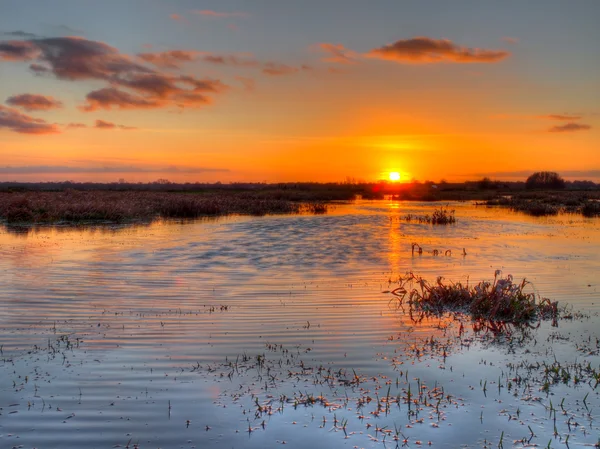 Sonnenuntergang über holländischem Feuchtgebiet — Stockfoto