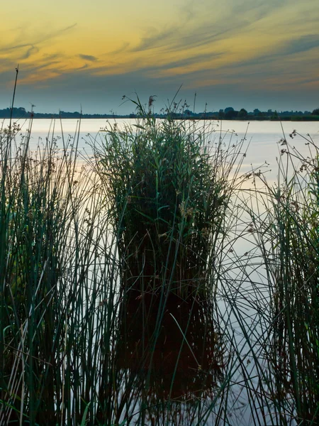 Junto al lago — Foto de Stock