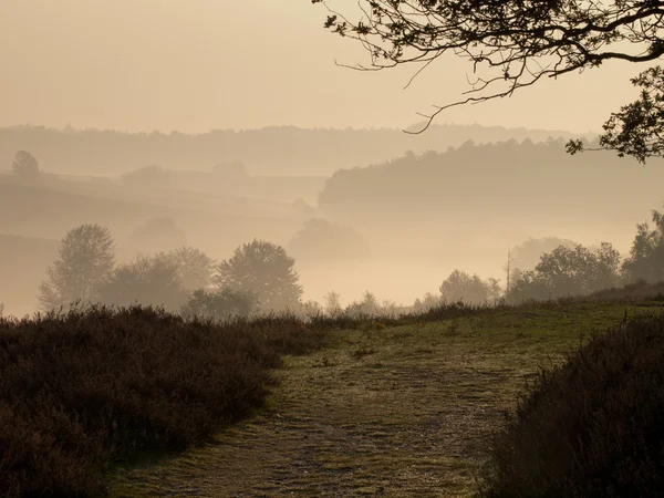 Ein Pfad in einer hügeligen nebligen Landschaft — Stockfoto