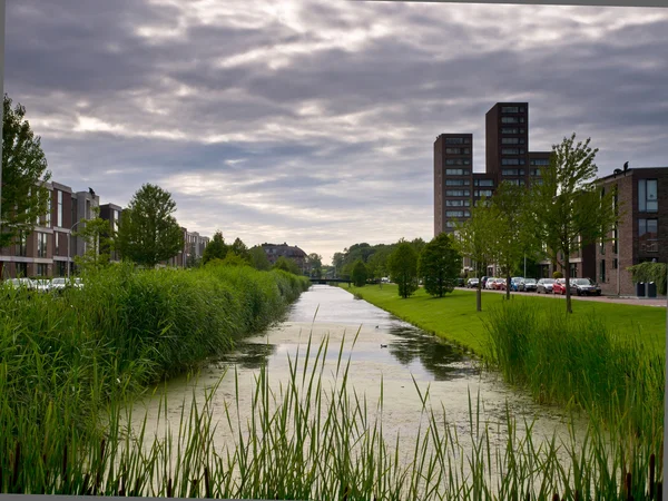 Nederlandse woonwijk — Stockfoto