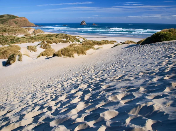 Stranden och sanddynerna — Stockfoto