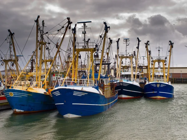 Moderne gegevensbestand over de vissersvloot — Stockfoto