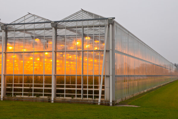 Экстерьер теплицы
