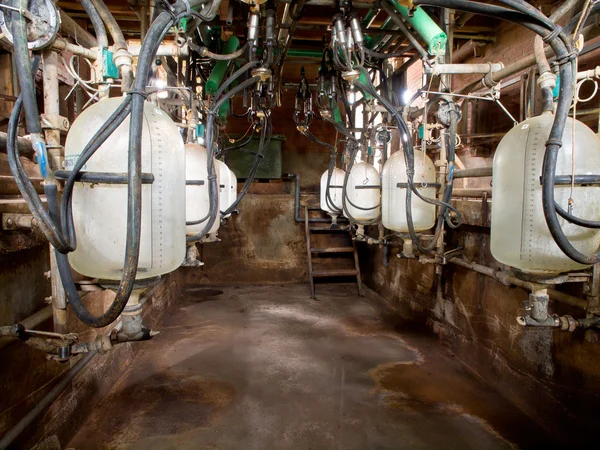 Milking parlor — Stock Photo, Image