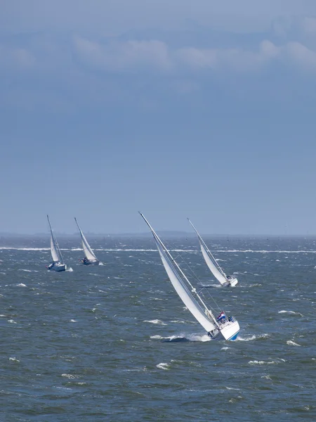 Yelkenli tekne yarışı — Stok fotoğraf