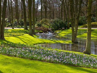Hollandalı bir yeşil park