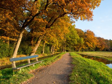 bir sonbahar gecesi Park davetkar bir tezgah