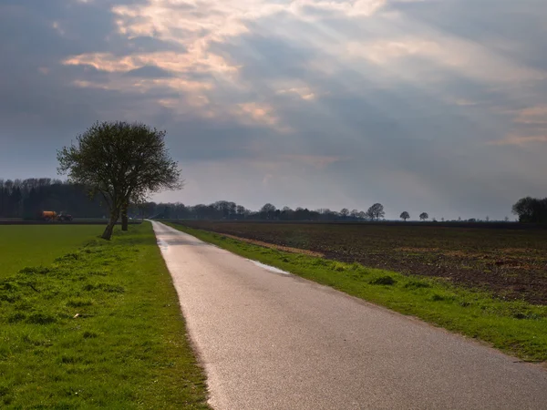 Camino rural bajo cielo dramático — Foto de Stock