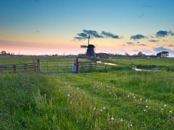 Nederlandse molen — Stockfoto