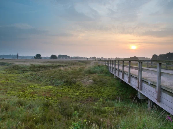 Träbro under sunrise — Stockfoto