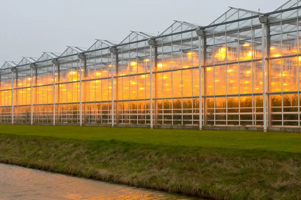 Commercial greenhouse — Stock Photo, Image