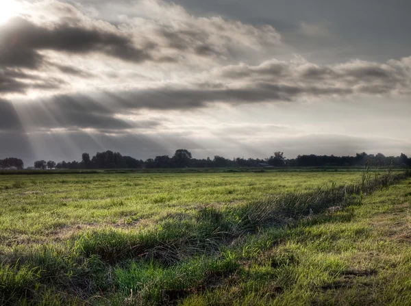 Траншею на сельскохозяйственном травяном поле — стоковое фото