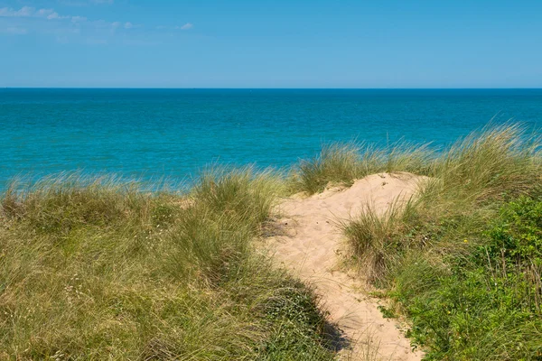 Plaża, wydmy, z widokiem na morze — Zdjęcie stockowe