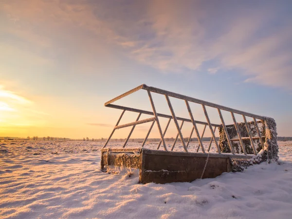 Feeder in een besneeuwde veld — Stockfoto