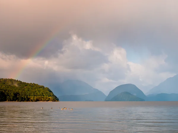 Jezero s rainbow a husy — Stock fotografie