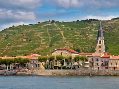 Vineyards in the Cote du Rhone France clipart