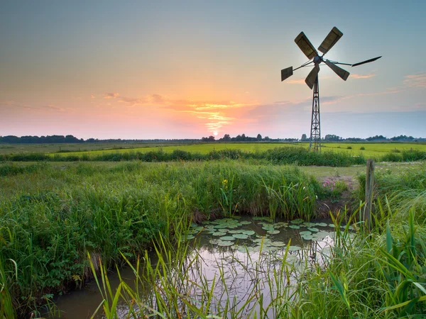 Ancien moulin à vent en zone agricole aux Pays-Bas — Photo