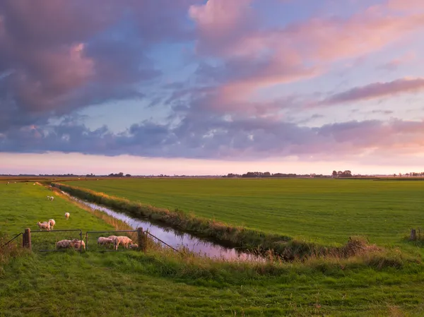 Puesta de sol sobre tierras agrícolas en los Países Bajos — Foto de Stock