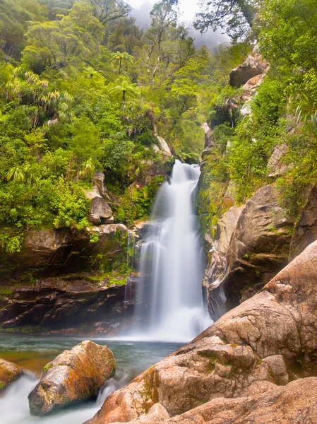 Cascata della foresta pluviale Nuova Zelanda — Foto Stock
