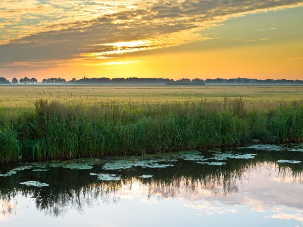 Río al atardecer —  Fotos de Stock