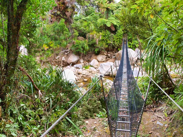 Pont tournant sur la piste Heaphy — Photo