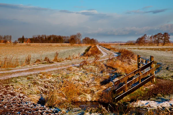 寒い気候の牧草地 — ストック写真