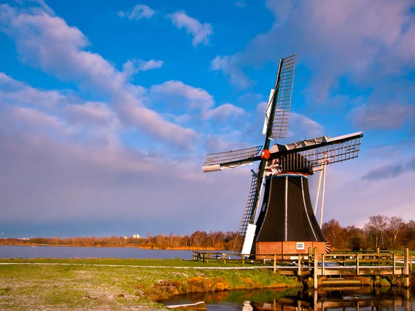 Moulin à vent Pays-Bas — Photo