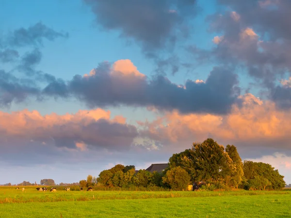 Zonsondergang over boerderij werf — Stockfoto