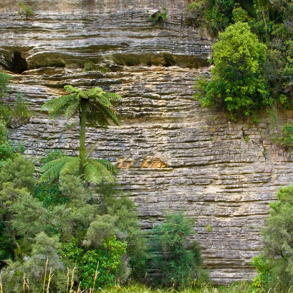 Üledékes kőzetek Új-Zéland — Stock Fotó