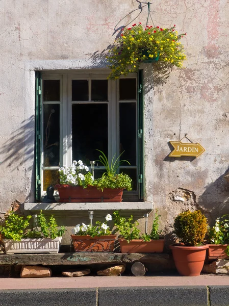 Jardinería de ventanas — Foto de Stock