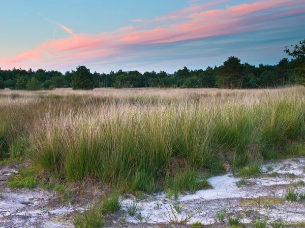 Zonsondergang over Nederland natuurreservaat — Stockfoto