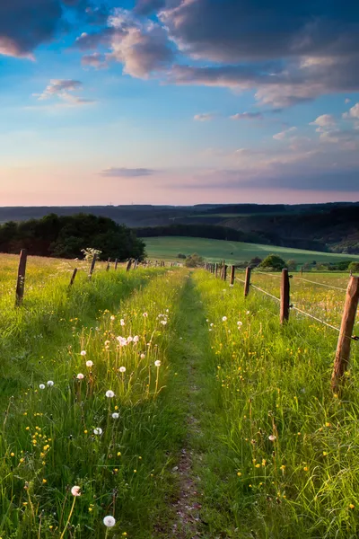 Solnedgång trail — Stockfoto